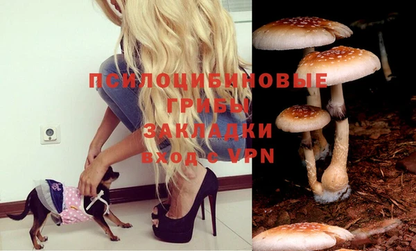 СК Козловка
