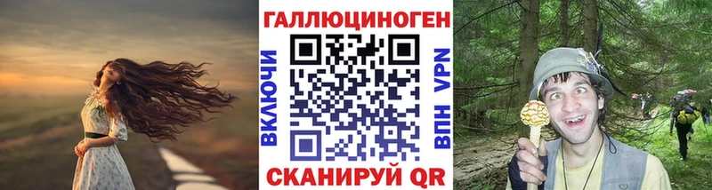 Купить  Чусовой  Псилоцибиновые грибы Cubensis 